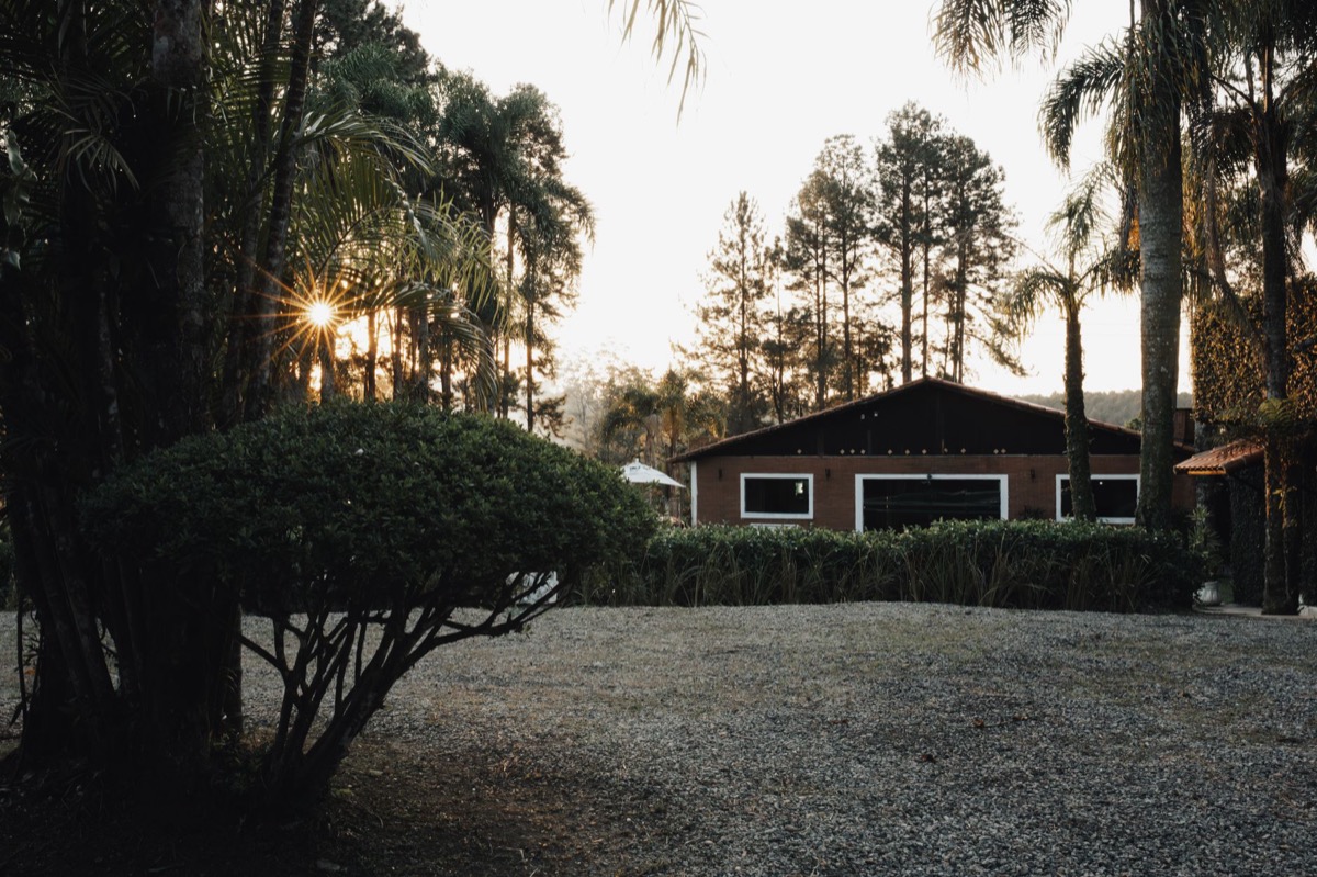 A newly graded gravel driveway curves through a suburban landscape, bordered by green grass and trees.